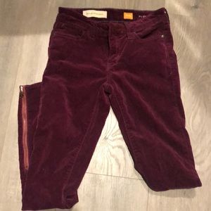 Maroon Corduroy Pants
